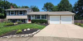 COMING SOON - Beautifully Updated Cul-de-Sac Home with Fenced Yard | 3 Bedrooms | $2,299/Month Gallery 1