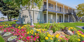 Callaway Apartments Gallery 41