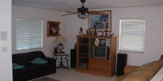 3316 Lacebark Pine Street Gallery 24
