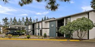 ReNew Dash Point Gallery 61