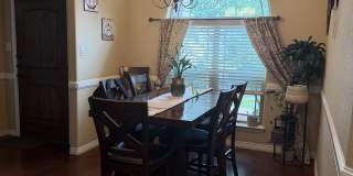 2517 Mugho Drive Gallery 10