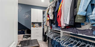 33875 CASTAWAY Loop Gallery 48