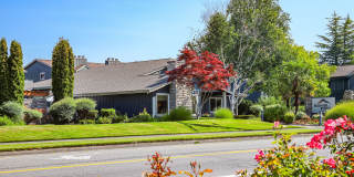 Rainier Pointe Gallery 32