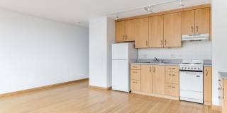 3100 North Lake Shore Dr. Gallery 8