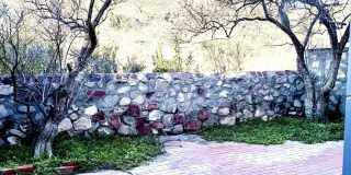 6035 BANDOLERO Drive unit: C Gallery 50