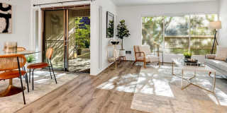 Downtown Bellevue 2 Bedroom 1.5 Bath 2 story Condo Gallery 1