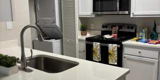 Palms of Clearwater Gallery 65