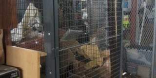 57 Broadlawn Gallery 39