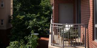 The Whitney Gallery 20
