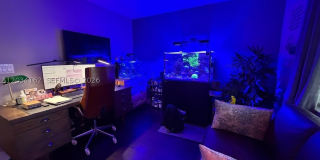 10900 NW 72nd St Gallery 23