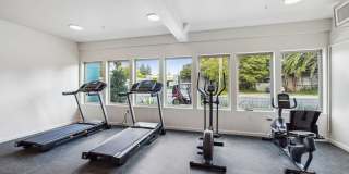 Pullman Modern Urban Apartments Gallery 57