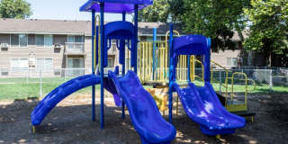 Central Pointe Gallery 9