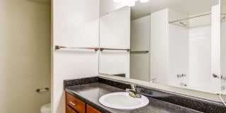 The Palms Gallery 10