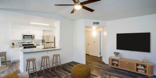 Newport Village Apartments Gallery 6