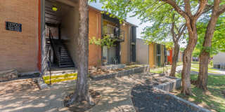 South Crest Gallery 50