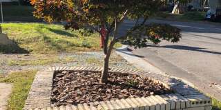 817 Arnette Ave Gallery 3