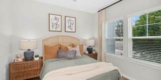 Ascend Nona West Gallery 5