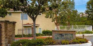 28511 Trento Way Gallery 36