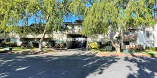 Concord Beautiful remodeled 1 bedroom 1 bath condo! Central location Gallery 1