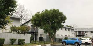Warren St. Family Village Gallery 7