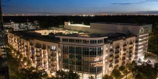 Reverie at River Hollow Gallery 1