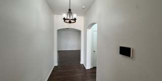 7309 Bellini St Gallery 6