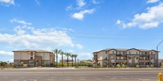 Prose Ascend Gallery 41