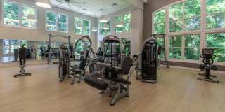 Magnolia at Milton Gallery 5