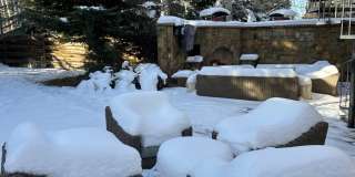 1395 Snowbunny Lane Gallery 15
