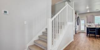 Legacy Farms Gallery 12