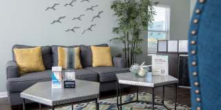 Affordable Housing- Carelton Courtyard Gallery 28