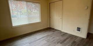 3-Bedroom 1 1/2 bathroom home in Springfield Gallery 14