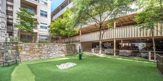 The Henderson Gallery 15