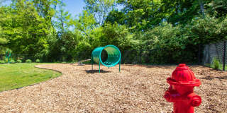 Deer Hill Gallery 63