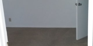 Forest Ridge Gallery 90