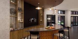 Ellison Museum District Gallery 6