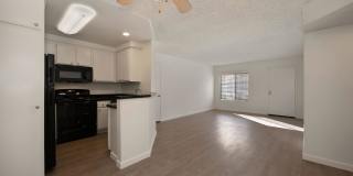 Elan Riverwalk Gallery 16