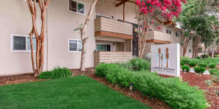 Ladera Woods Gallery 1