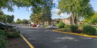 The Willows Gallery 4