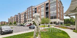 3503 Bellflower Lane Gallery 6