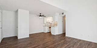 San Merida Gallery 11