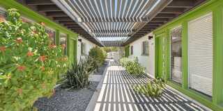Palm Villas Gallery 33