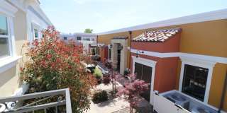 Ramblewood Apartments Gallery 26