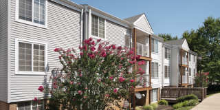 The Apartments at Canterbury Gallery 29