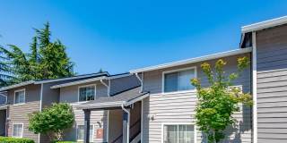 Black Lake Gallery 6