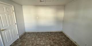 2224 Chicago Cubs St Gallery 17