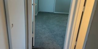 Black Pine Flats Gallery 37