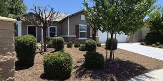 31810 Ives Court Gallery 12