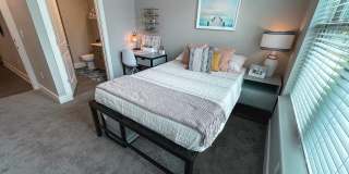 Student Housing - The Locale Tallahassee Gallery 17