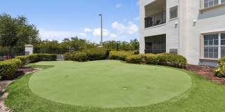 Casa Bella on Westshore Gallery 6
